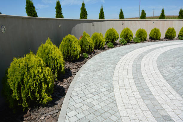 Reasons to Select Us for Your Driveway Paving Requirements in Lake Darby, OH